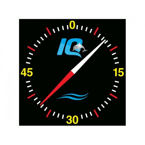 Pace Clock - IQ Acrylic Black
